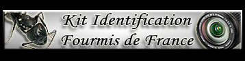 Kit / clé d'identification et base de donnée photos Fourmis de France